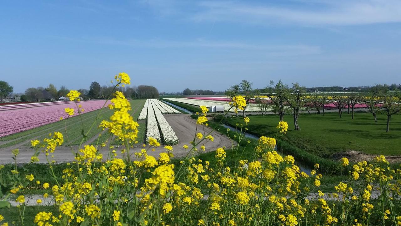 Vakantiehuis Duin Bos En Zee Schoorl Luaran gambar