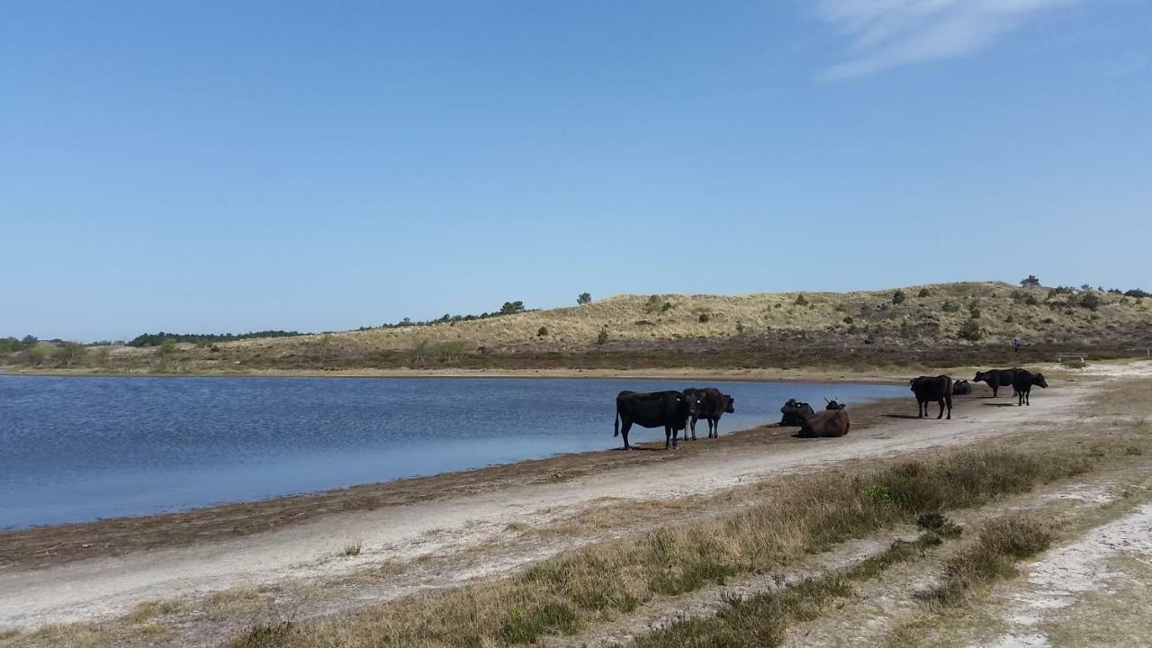 Vakantiehuis Duin Bos En Zee Schoorl Luaran gambar